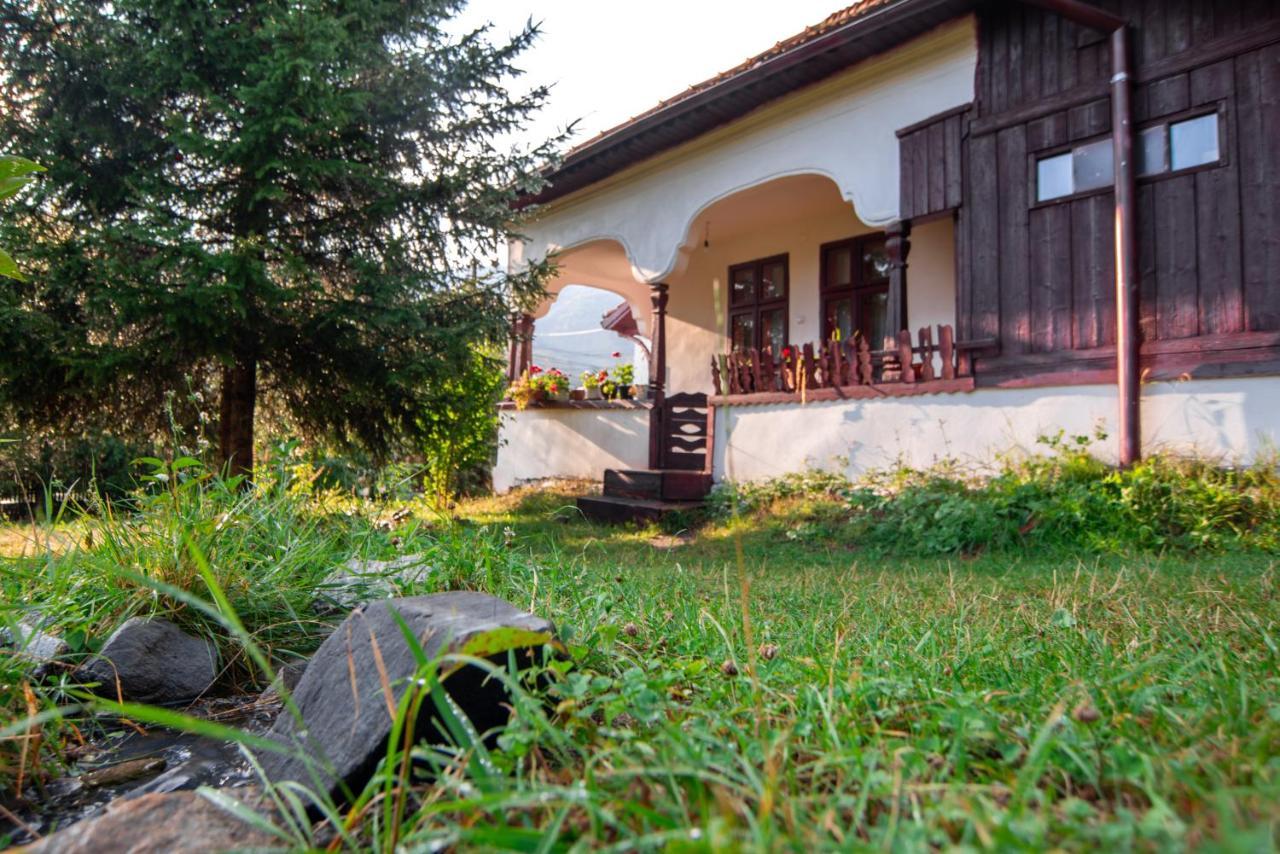 Appartamento Surasul Muntelui Dragoslavele Esterno foto