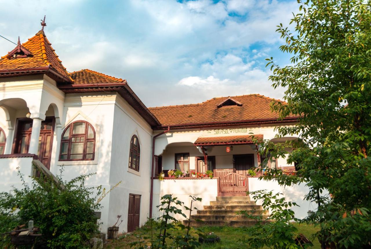 Appartamento Surasul Muntelui Dragoslavele Esterno foto