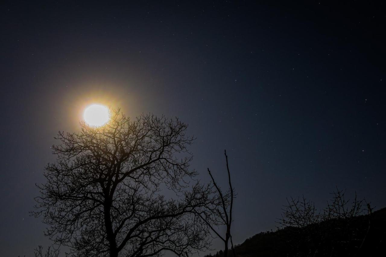 Appartamento Surasul Muntelui Dragoslavele Esterno foto