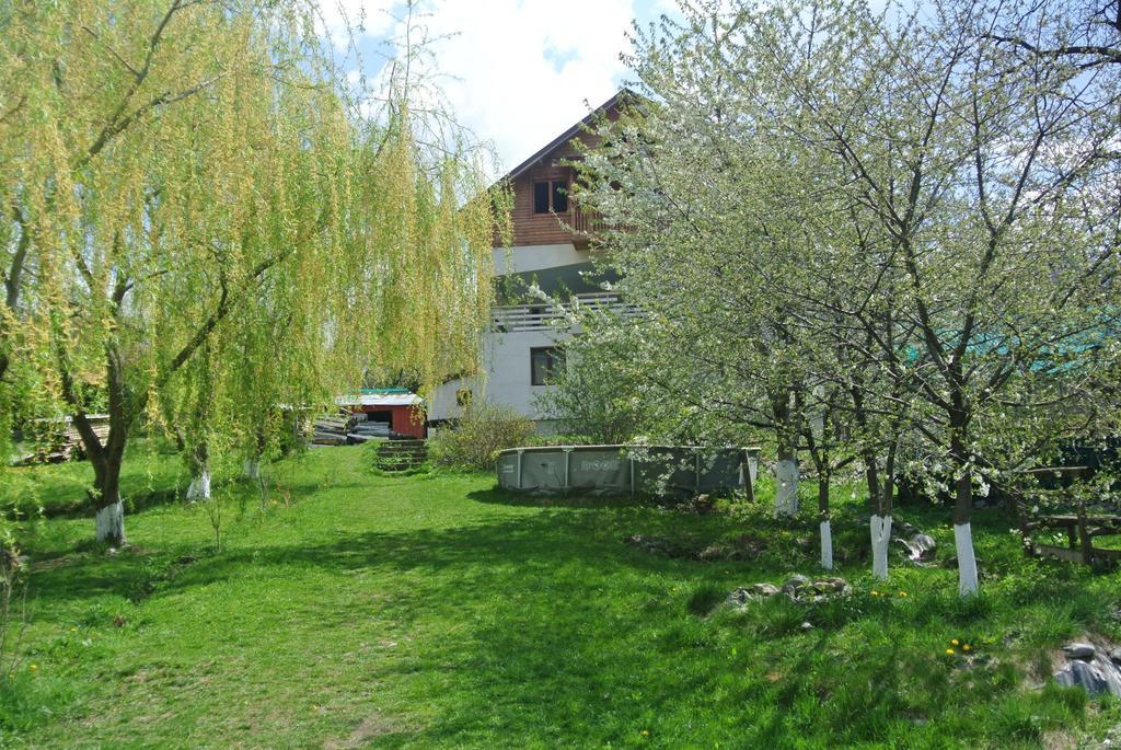 Appartamento Surasul Muntelui Dragoslavele Esterno foto