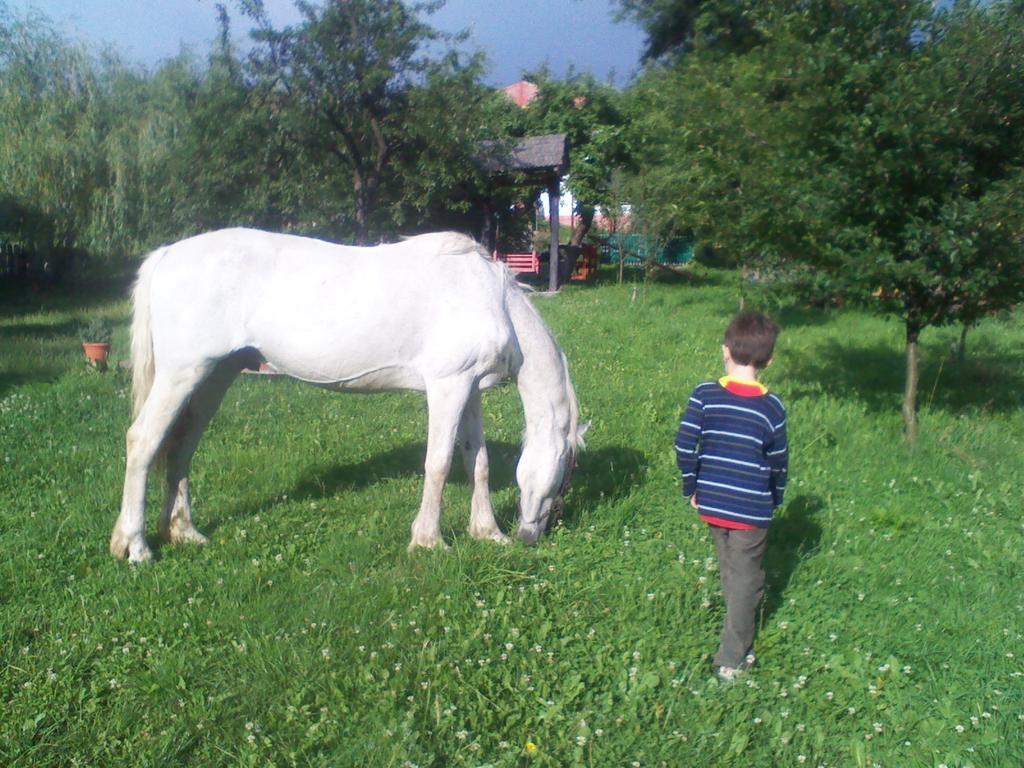 Appartamento Surasul Muntelui Dragoslavele Esterno foto