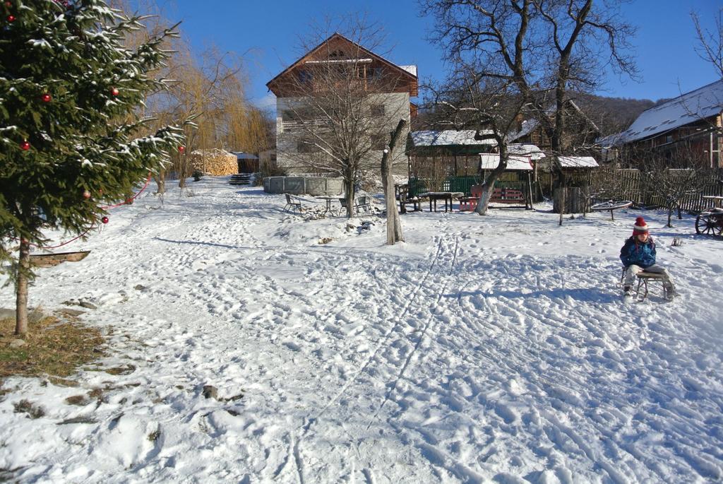 Appartamento Surasul Muntelui Dragoslavele Esterno foto