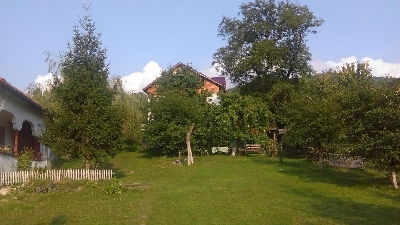 Appartamento Surasul Muntelui Dragoslavele Camera foto
